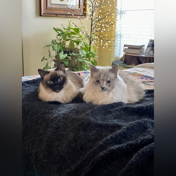 Meet your Posher, Jill - Picture 13 of 16